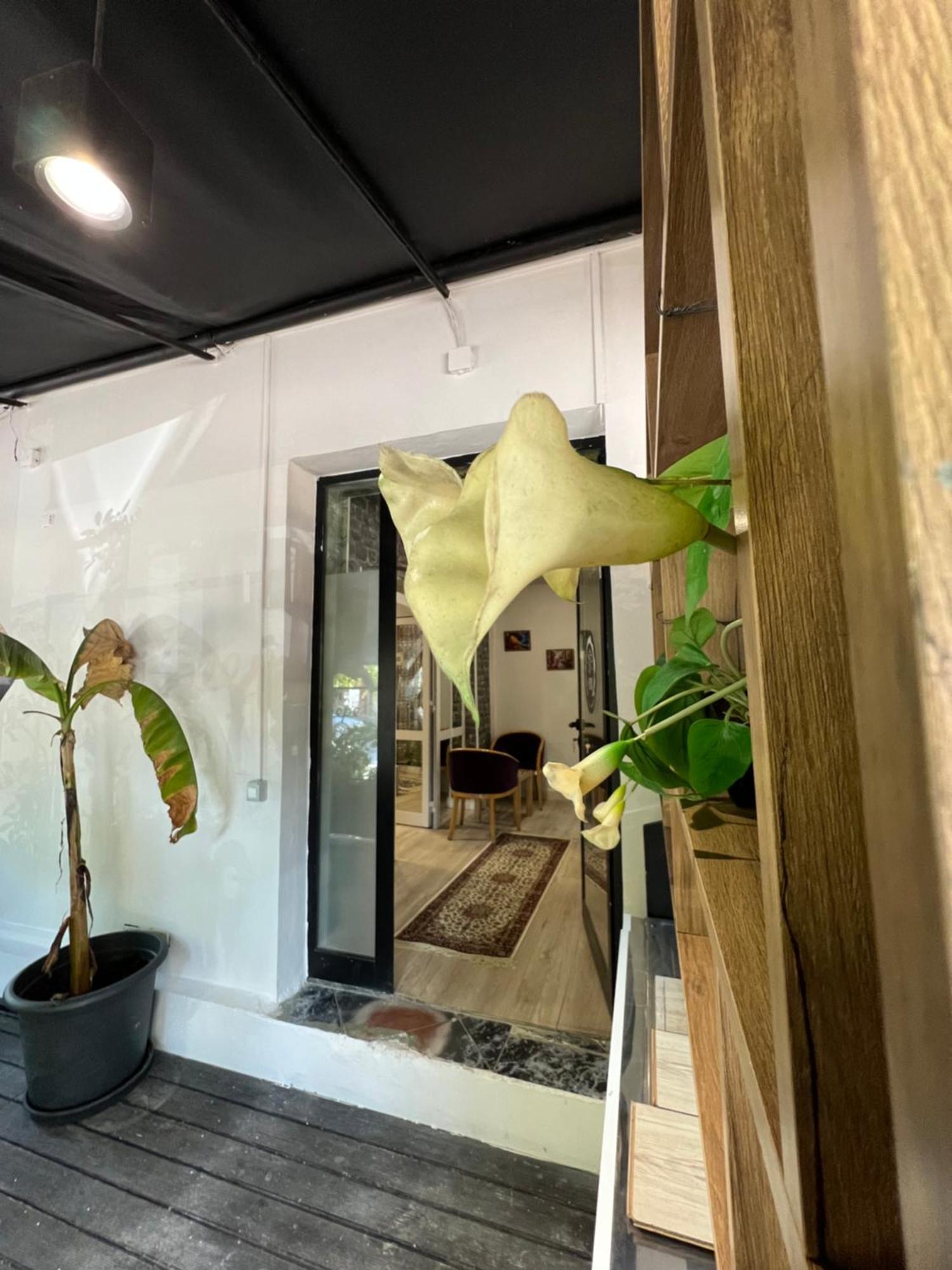 Destinacion Central Room Тирана Екстер'єр фото